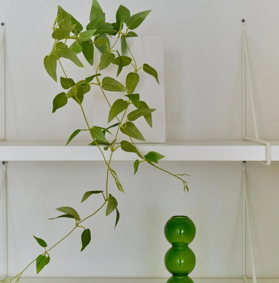Kaikai House - Art, Design & Family In Shibuya Villa Tokio Japan